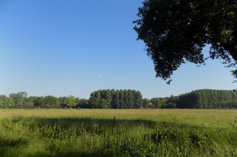 DSCN0442