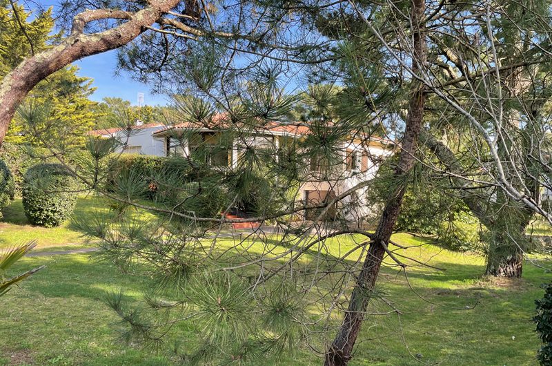 Daugert_capbreton_landesatlantiquesud5