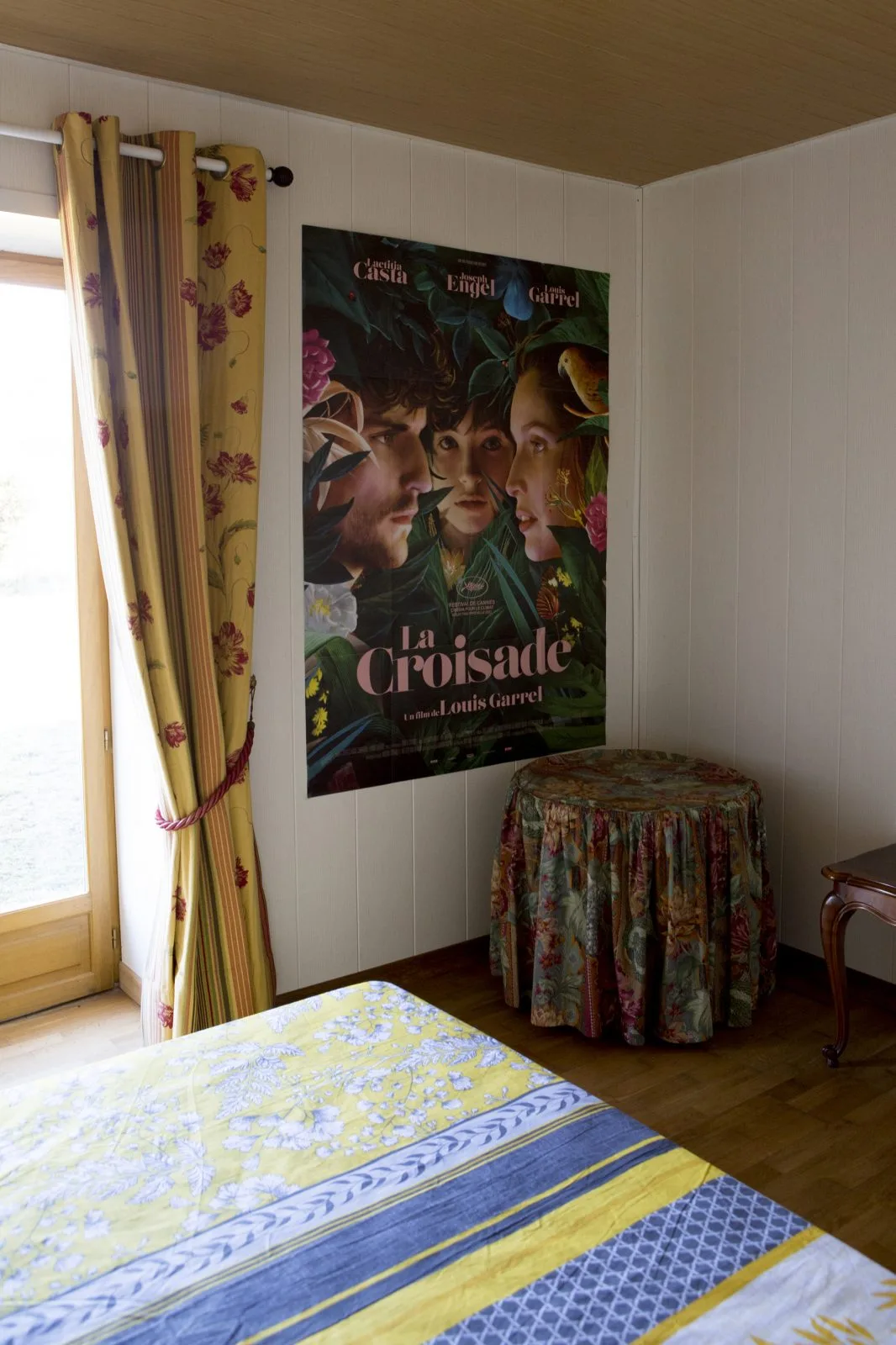 Des pins et des chênes _01A0941