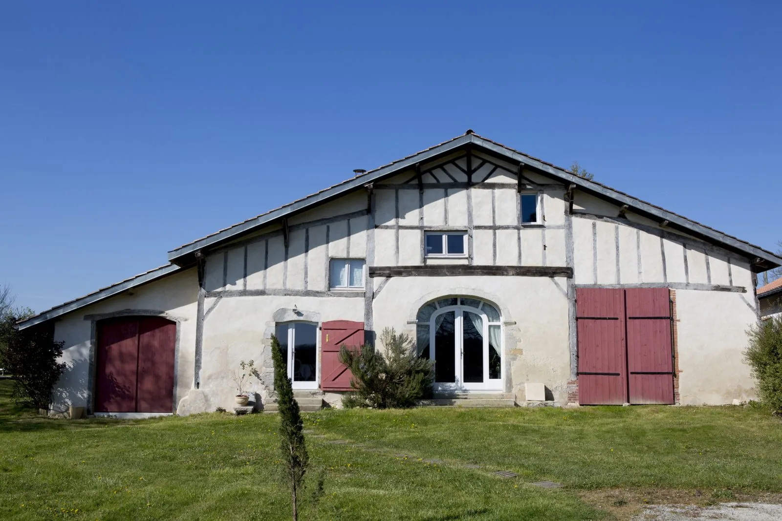 Des pins et des chênes _01A0999