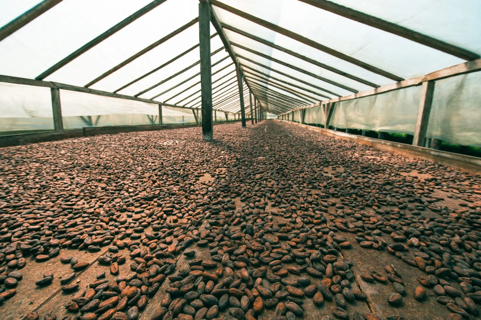 DiogoVaz©DiogoVaz (6)