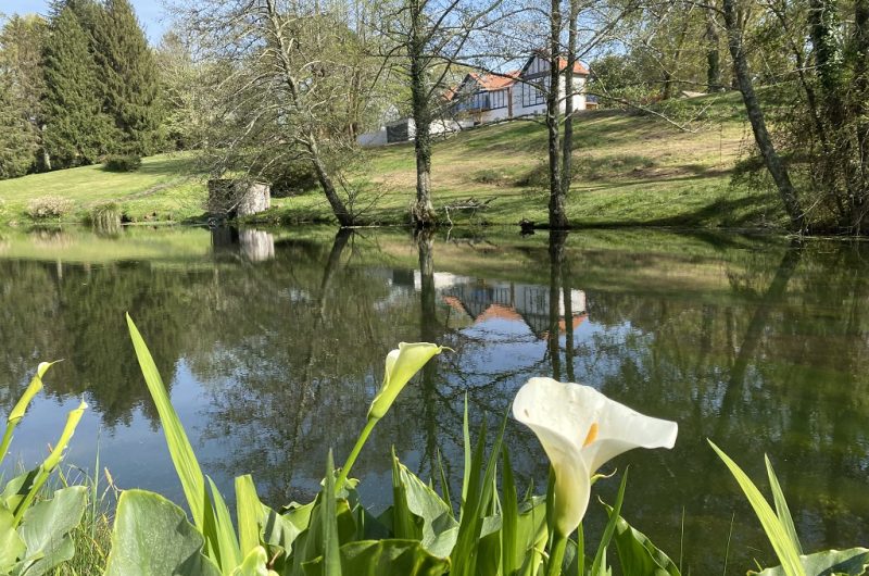 Domaine Baruteau13_Soustons_Landes Atlantique Sud