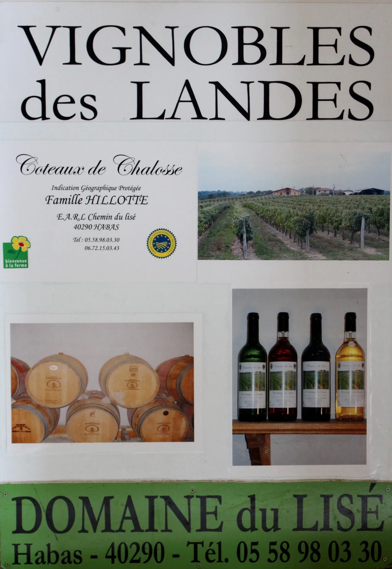 Domaine de Lisé  (1) (1324×1920)