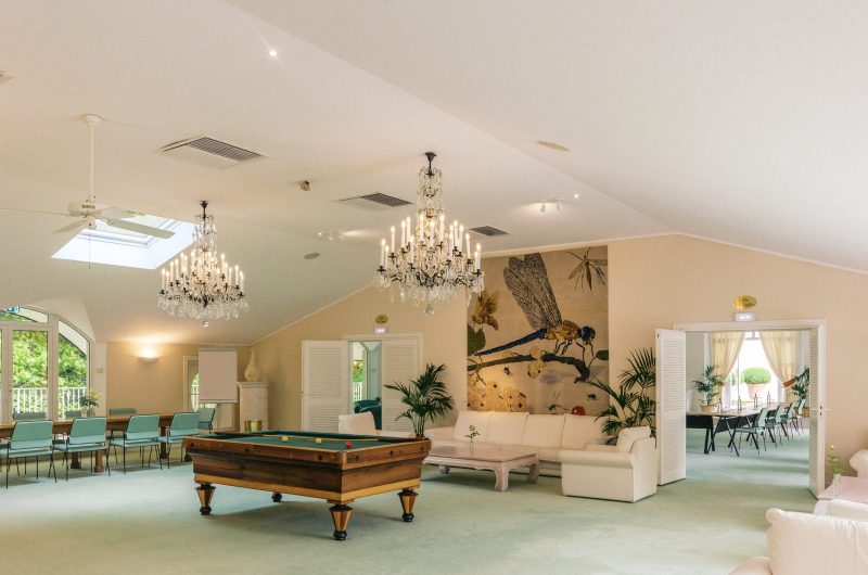 EUG SALON DES OIES 31 HUGO HENNEQUIN