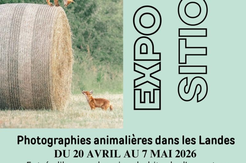 EXPO QUENTIN BIGNEBAT FESTIPLANTES – 1
