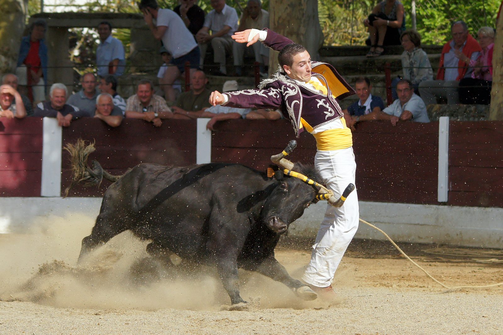 Ecart n°4 – Copyright Céline LAFFARGUE