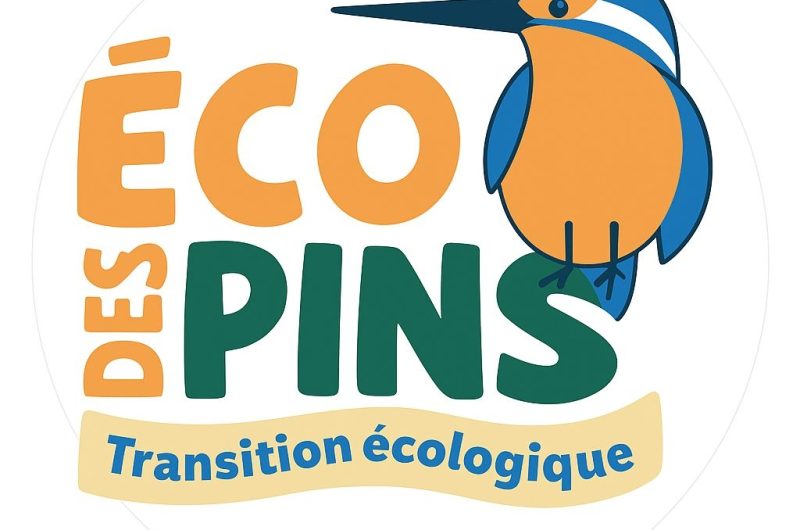 Ecodespins