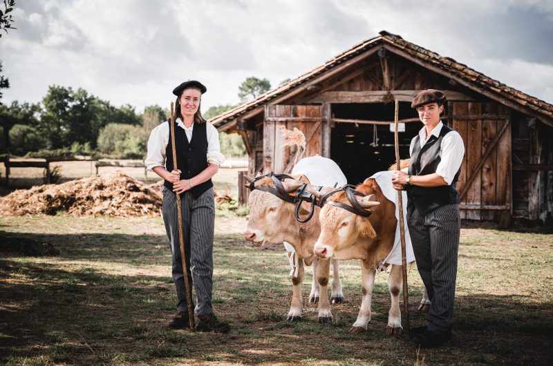 Ecomusée_de_Marquèze_2021-1998-_Yohan_ESPIAUBE