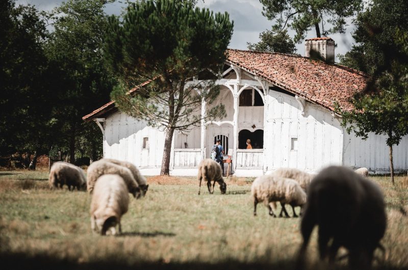 Ecomusée_de_Marquèze_2021-2699-_Yohan_ESPIAUBE