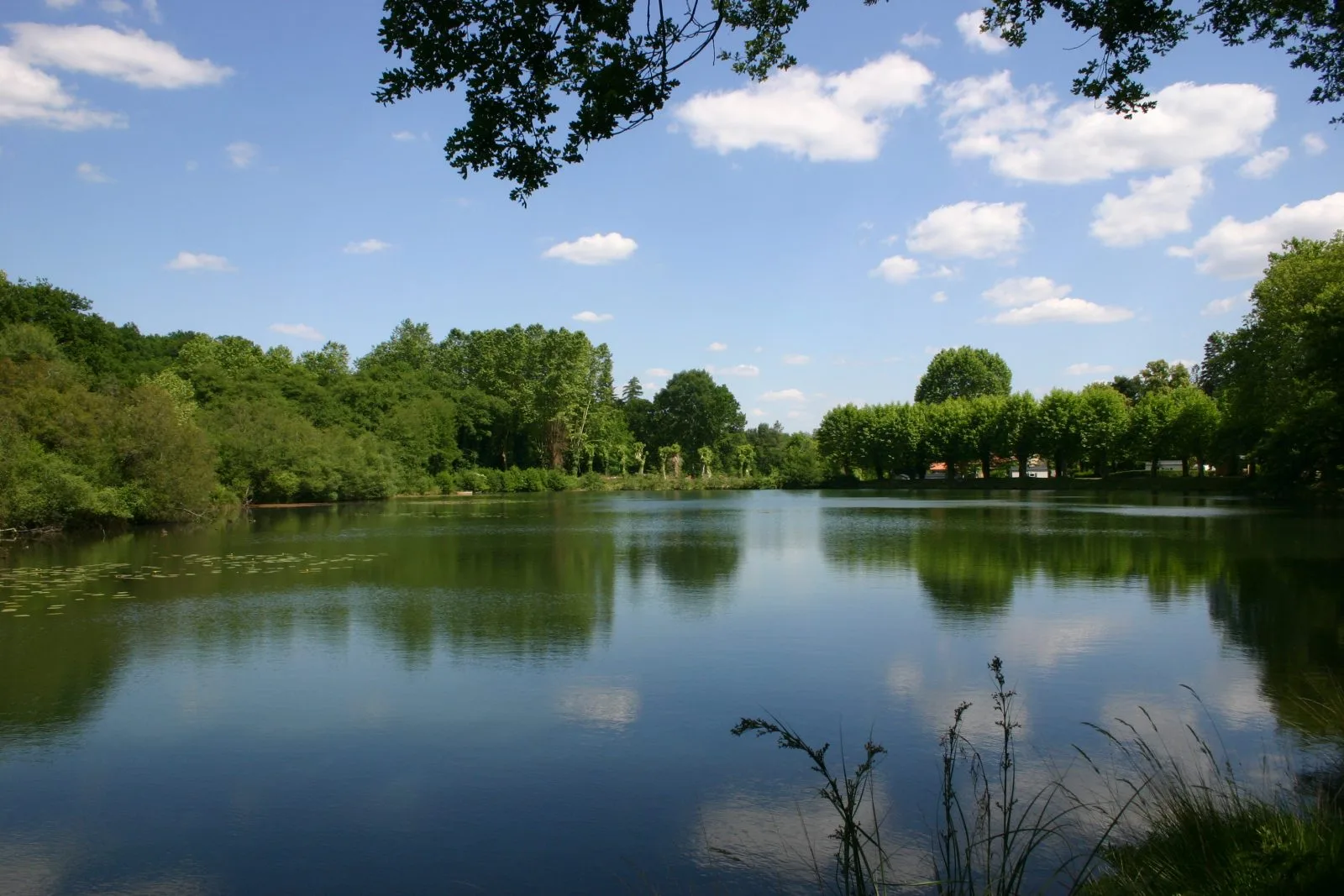 Etang-062006