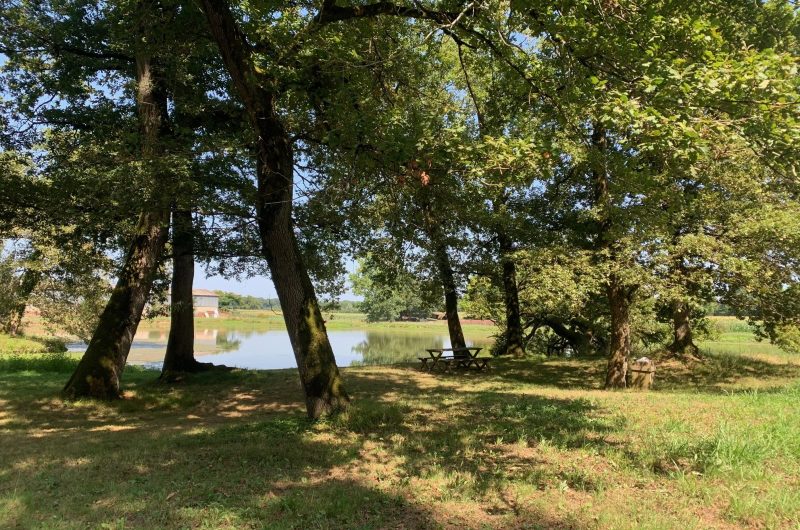 Etang gîte maniort