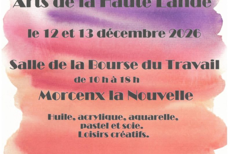 Exposition arts de la haute lande 12 et 13 12 2026