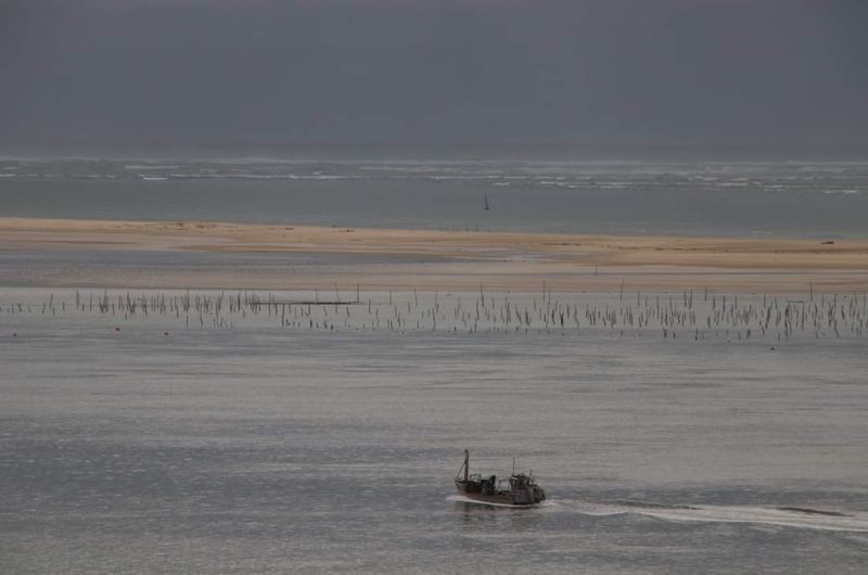 FB_IMG_1579724903110