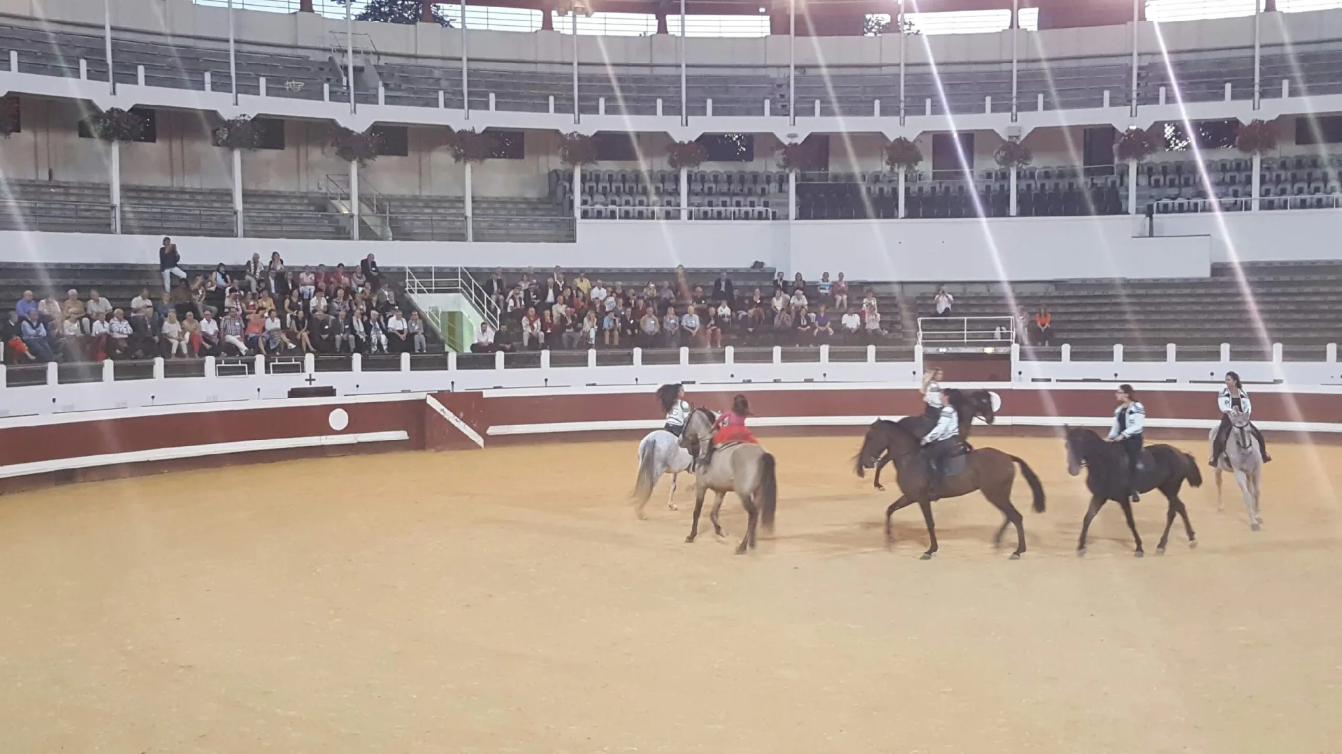 FIESTA-CAMPERA–1–4