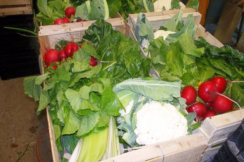 Ferme Coumet – Panier de légumes