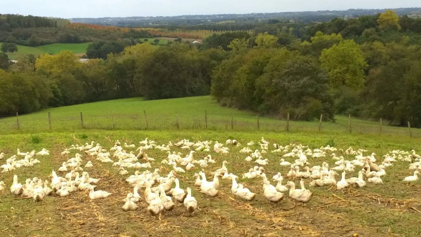 Ferme-des-eschourdes