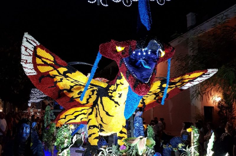 Fetes-Hagetmau–c–Guillaume-C