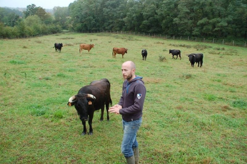 Ganaderia-Bodus—Poyanne—Julien-en-visite