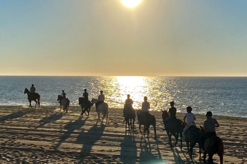 Green resort – Activité 3