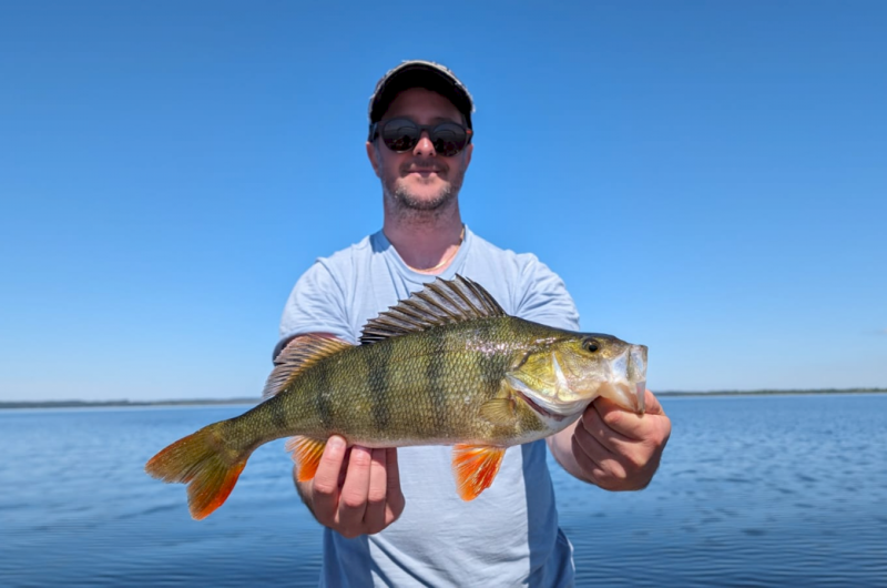 Guide de pêche Arnaud FARMERY Poisson.jpg