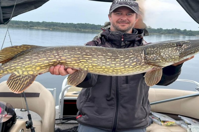 Guide de pêche Arnaud FARMERY poisson2