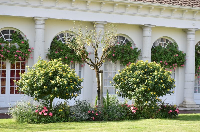 Hagetmau_Centre-ville_BITHAG_Locaux_@Gilles Arroyo