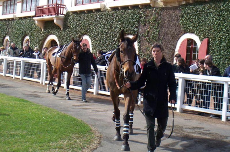 Hippordrome-1-db56a01fc71842ec9aee4b594f8d788e