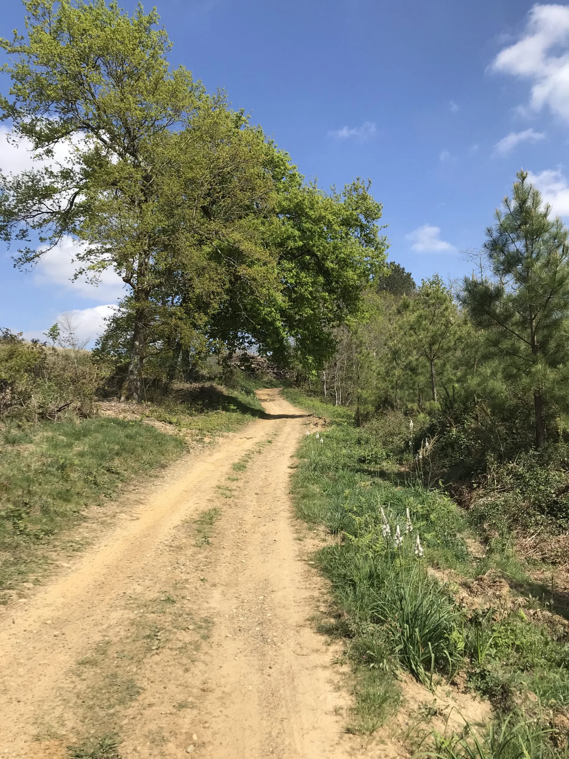 Randonnée – Circuit de l’Empereur, à Peyrehorade