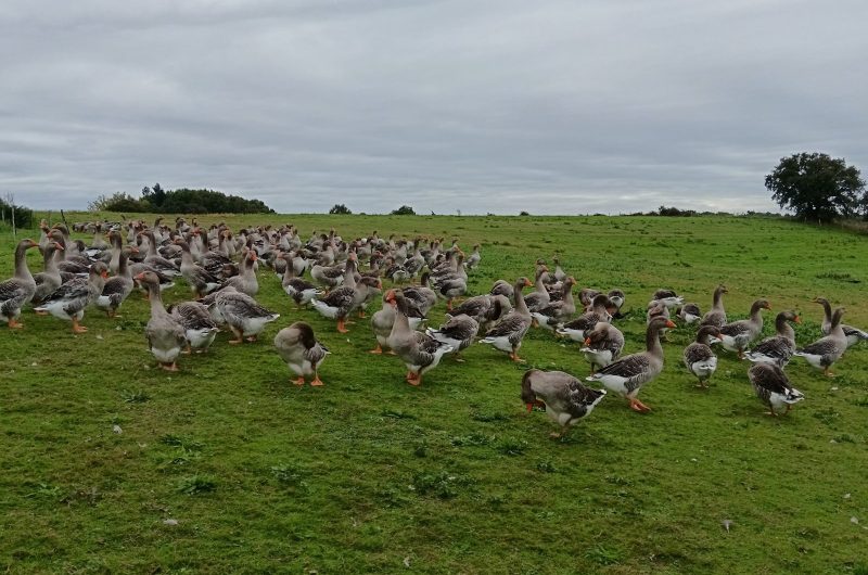 IMG_20250925_111038_resized_20260211_032855773