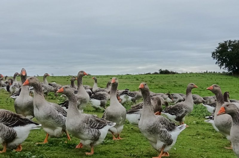 IMG_20250925_111148_resized_20260211_032854559