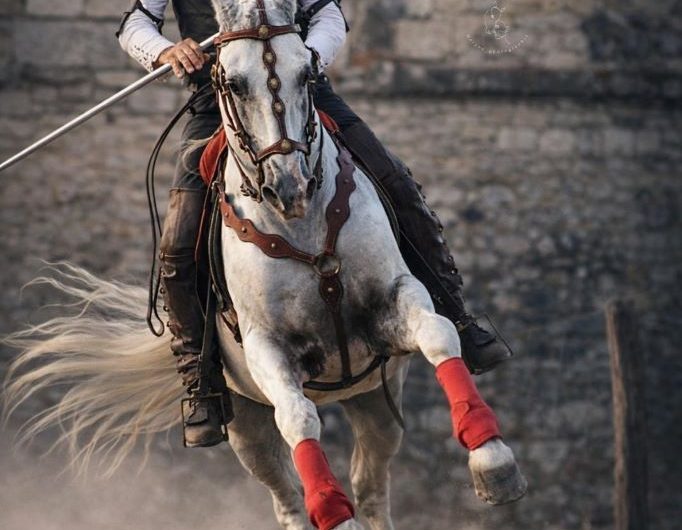 IMG-20260312-WA0005-3