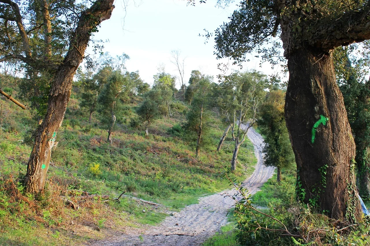 Le circuit vert : vers les sommets !