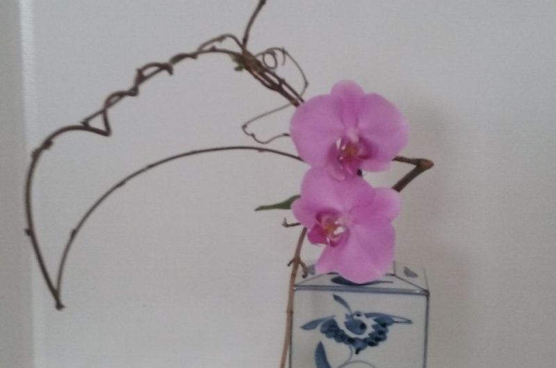 Ikebana Josiane Joie 1