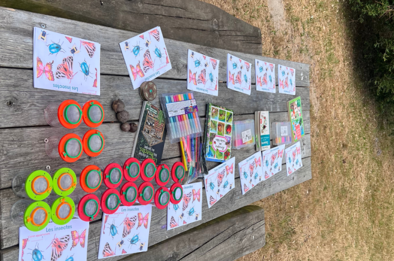 Insectes Enfant Nature Landes