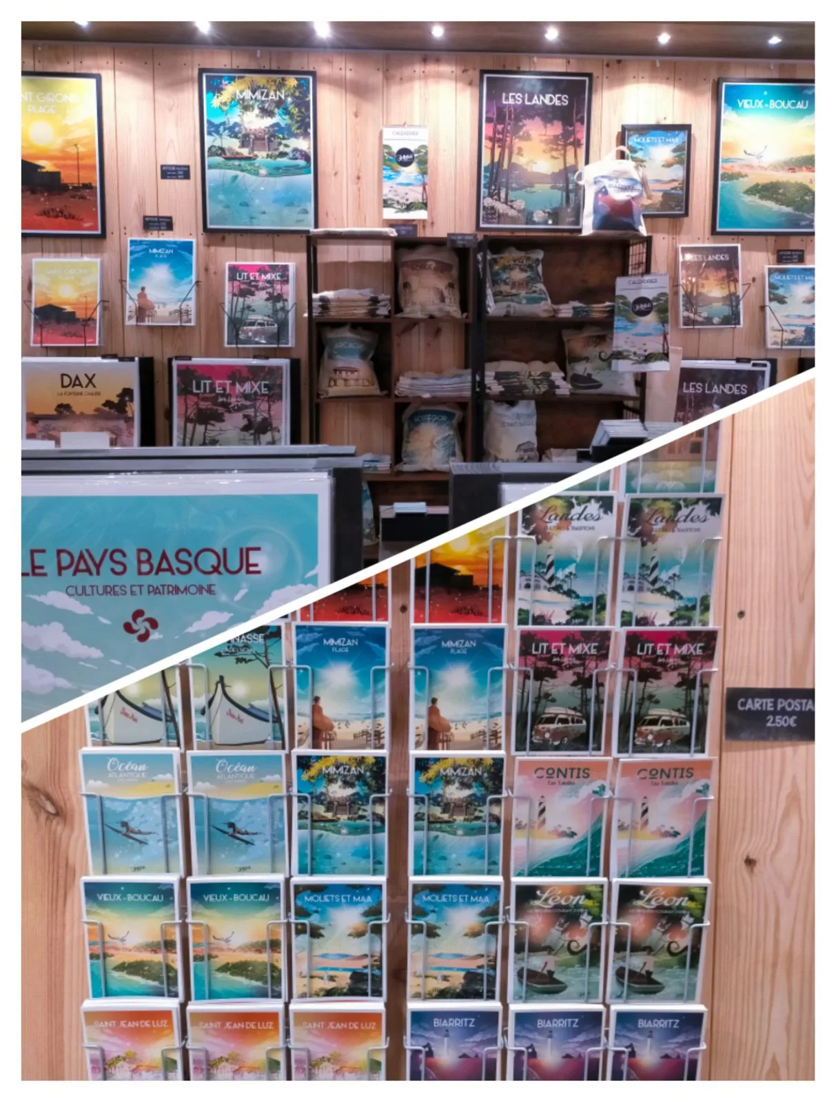 JELLYFISH-CARTES POSTALES-AFFICHES