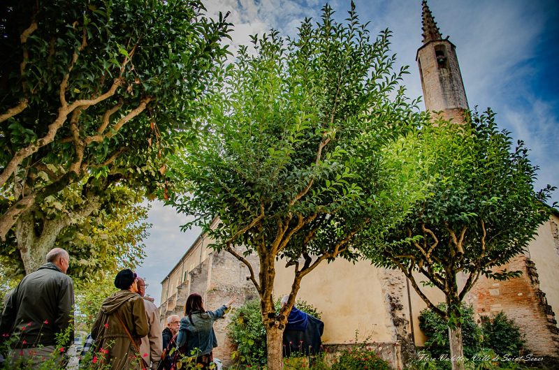 JEP 2024 (c)Flora Valette – Ville Saint-Sever (6)