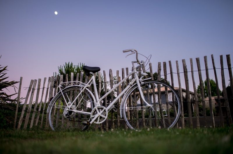 Jardin-Hotel-Lodge-La-Petite-Couronne