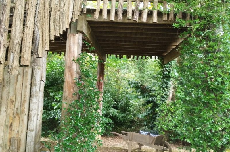 Jardin bas de la cabane Papyjotte 2025 ©Hayet.