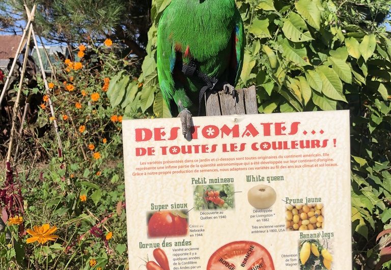 Jardins Humanité6_TYROSSE_OTILAS.jpg