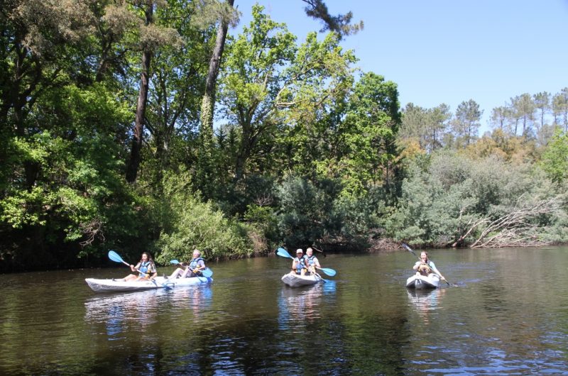 Kayak courant 2 (Copier)