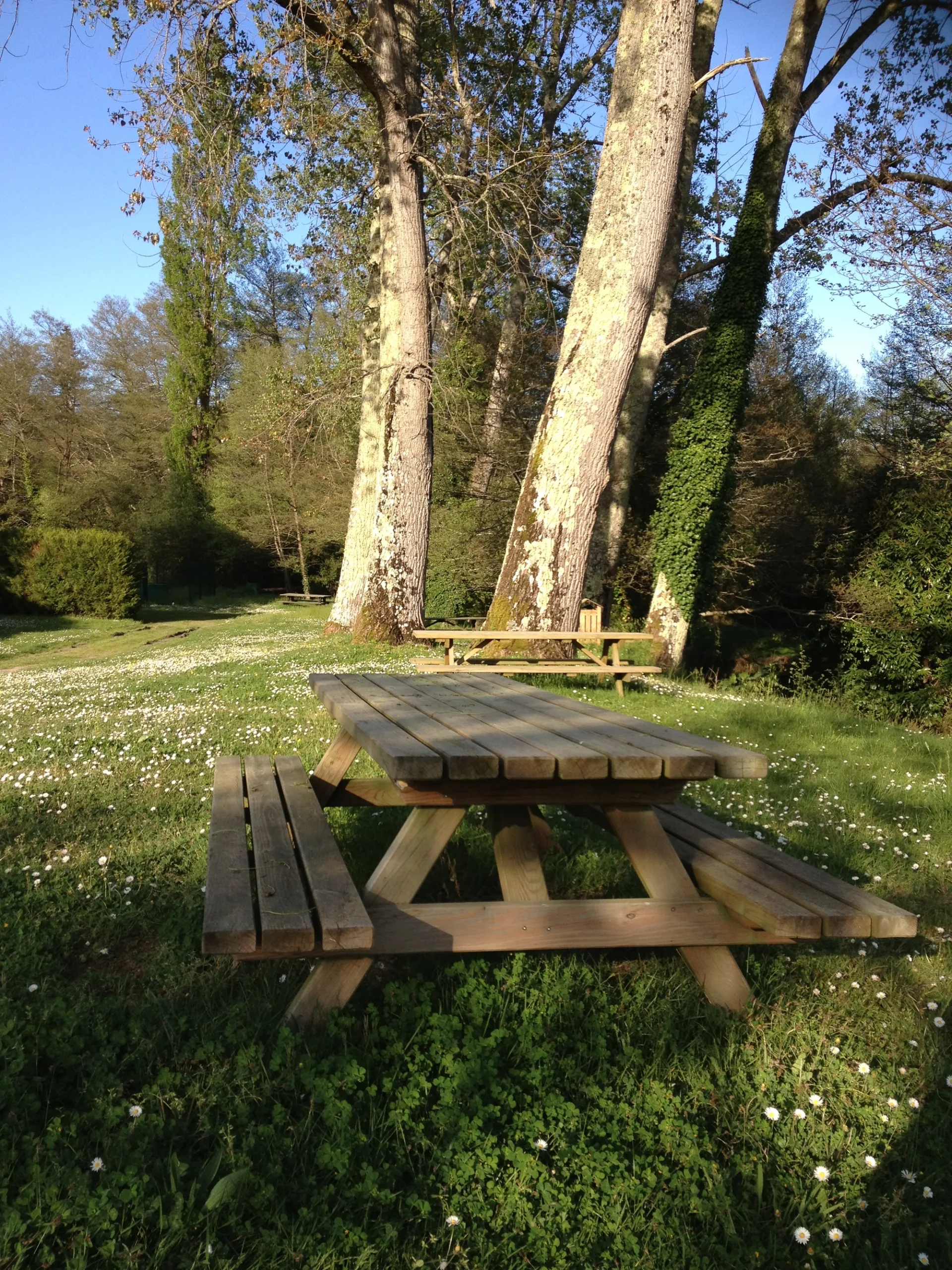 LINXE – Aire de pique nique devant l’église (1)