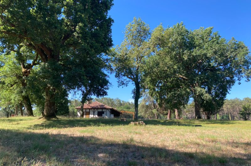 A Linxe, circuit du Moulin de Binaou
