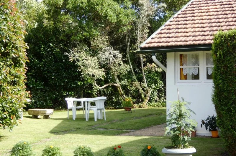 LINXE_LABEYRIE Jean_Ext (2)