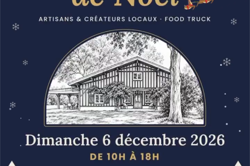 LINXE-MarchédeNoëlArtisalinxe