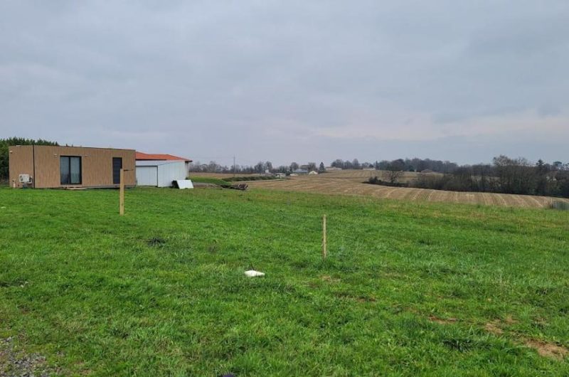 La Box des Oiseaux jardin 2025 ©AguilarVelten