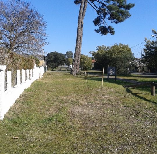 La maison longe la piste cyclable  (3) (Copier)