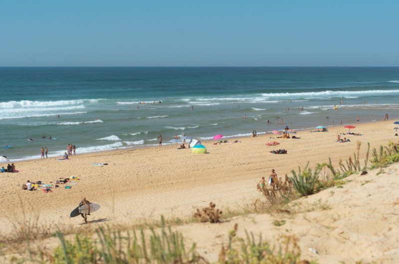 LaLetteBlanche_2022-CLNT@benjaminfaure10