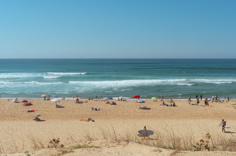 LaLetteBlanche_2022-CLNT@benjaminfaure7