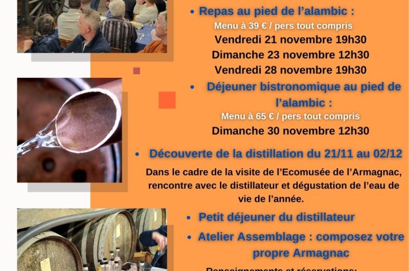 distillation 2025 – 2