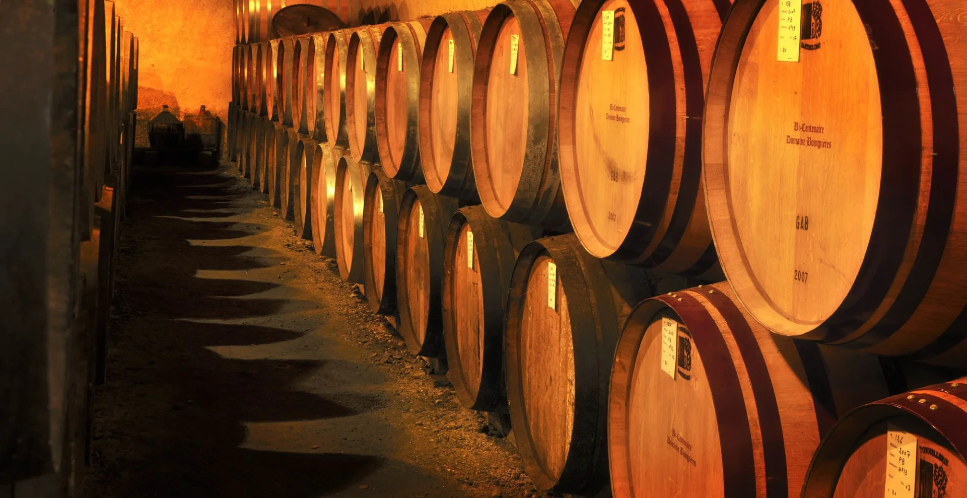 Labastide d’Armagnac – Producteur  – Domaine de Boingneres – Chai